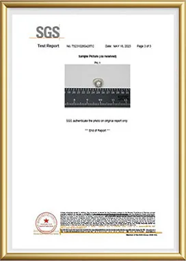 SGS sample record