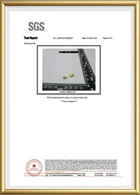 SGS test report